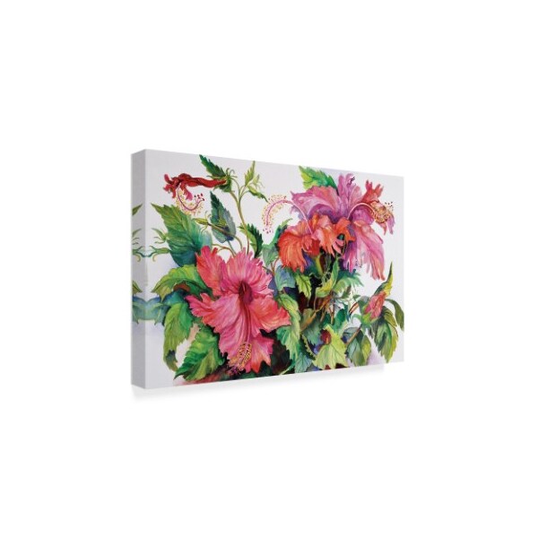 Joanne Porter 'Hibiscus' Canvas Art,16x24